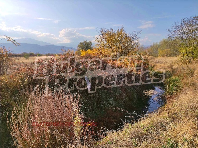 In vendita  Terra regione Plovdiv , Parvenets , 4.41 dka | 79280734 - Immagine [8]