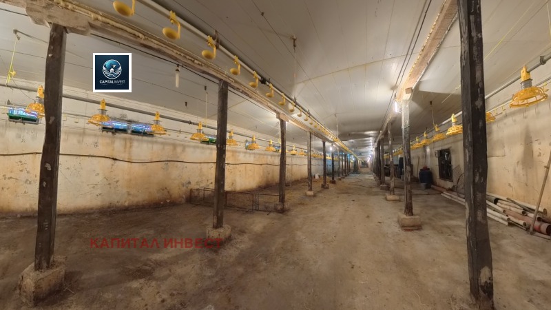 Продава БИЗНЕС ИМОТ, с. Побит камък, област Разград, снимка 3 - Други - 53004712