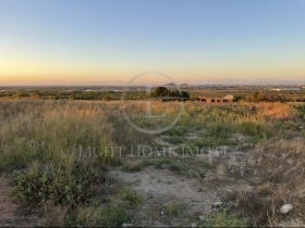 ����� ������� ������,�. ��������, ������ �������