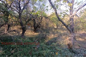 ������� ������ | Imot.bg � ����� ������ 7