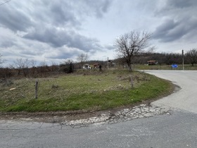 ����� ������� ���������� ����,�. ������ �������, ������ �����