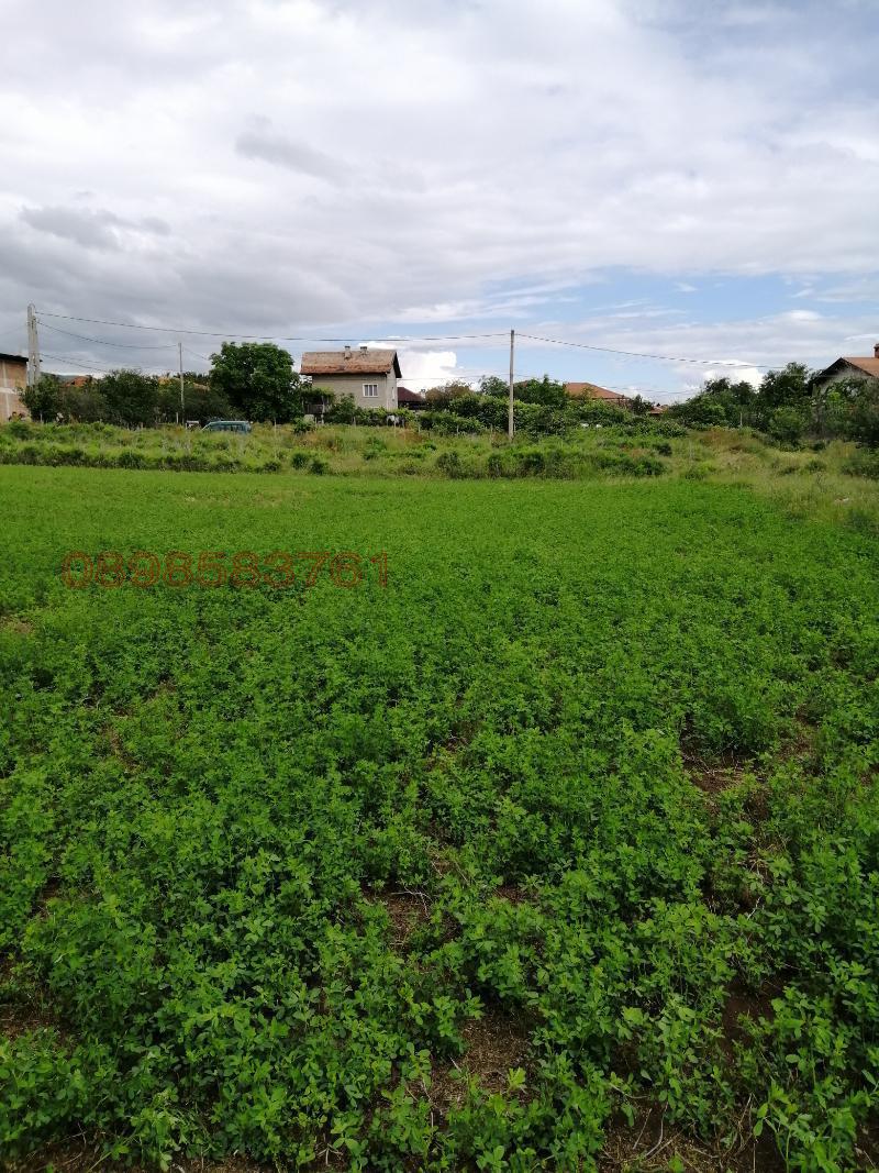 Продава ПАРЦЕЛ, с. Црънча, област Пазарджик, снимка 9 - Парцели - 52786280