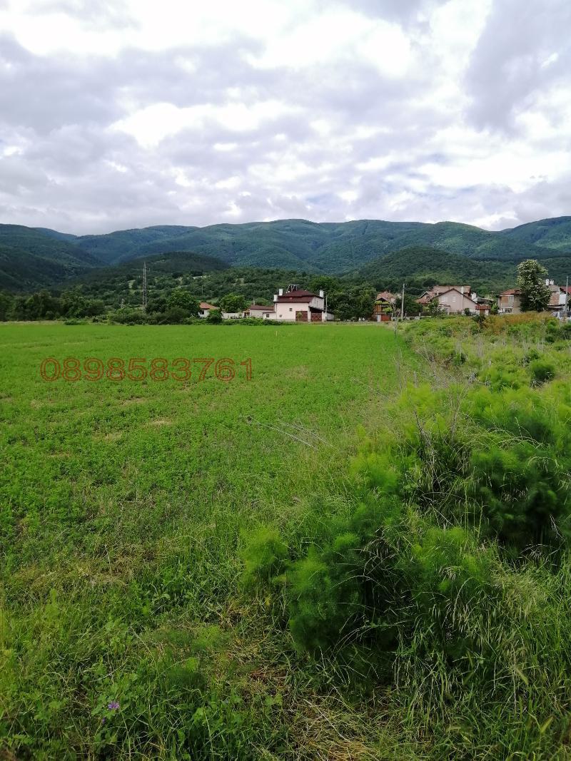 Продава ПАРЦЕЛ, с. Црънча, област Пазарджик, снимка 10 - Парцели - 52786280