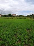 Продава ПАРЦЕЛ, с. Црънча, област Пазарджик, снимка 8
