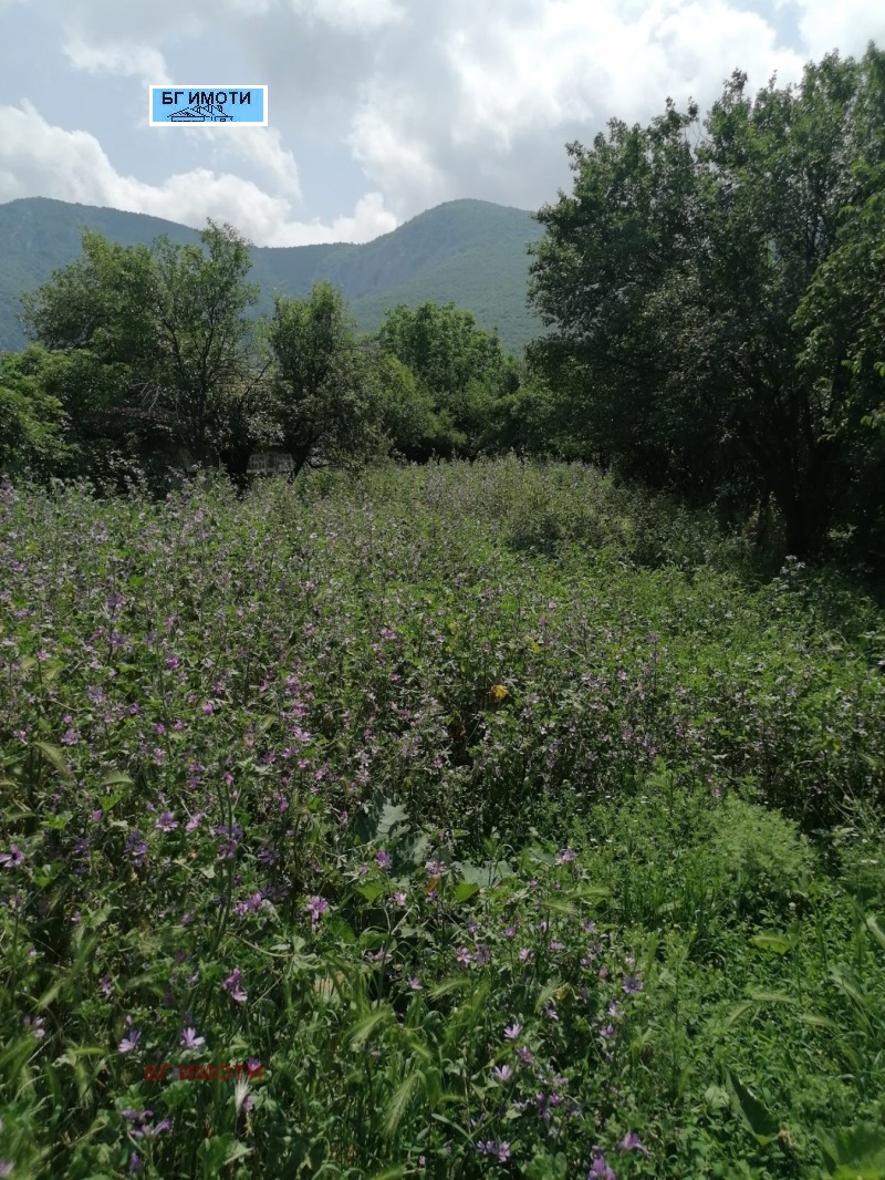 De vânzare  Complot Vrața , Bistreț , 1400 mp | 75408161 - imagine [2]