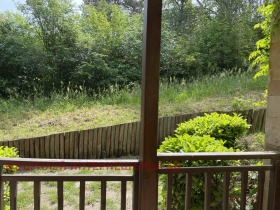 ����� ������� 2-�����,��. �������, ������ ������