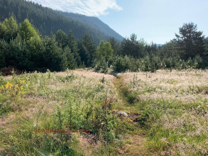 Продава ПАРЦЕЛ, с. Мала църква, област София област, снимка 12 - Парцели - 52771316