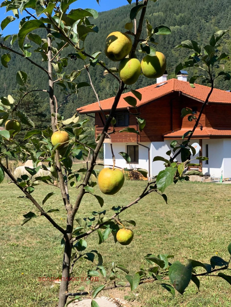 Продава ПАРЦЕЛ, с. Мала църква, област София област, снимка 13 - Парцели - 52771316