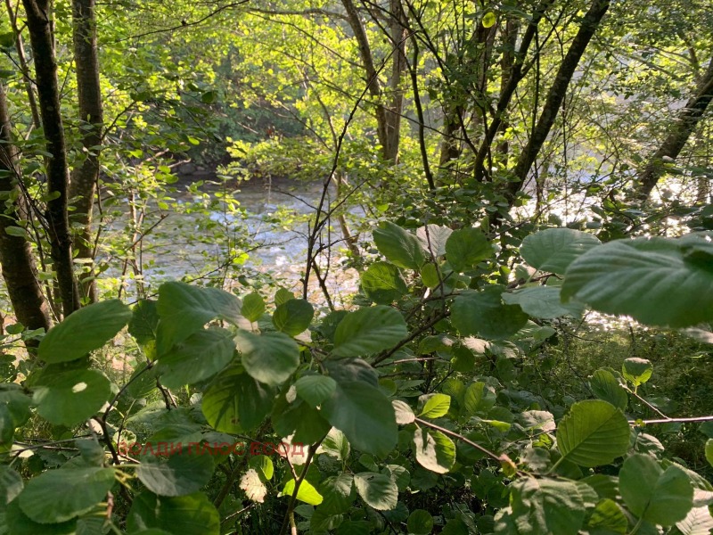 Продава ПАРЦЕЛ, с. Мала църква, област София област, снимка 11 - Парцели - 52771316