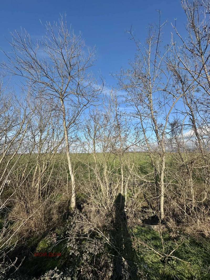 Продава ПАРЦЕЛ, гр. Варна, с. Тополи