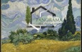 Продава ПАРЦЕЛ, град Шумен, Гривица • 123000 € • 54044699 — Holmes.bg