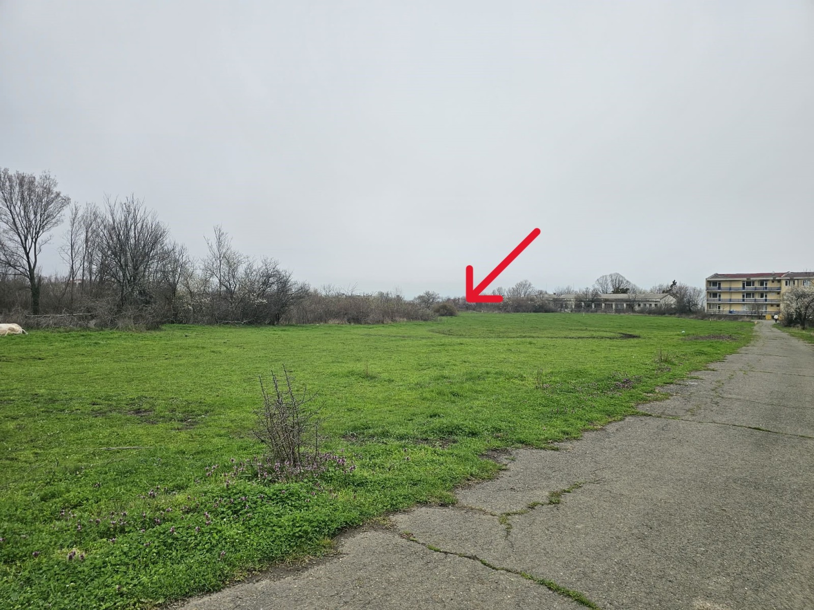 ������� ������ | Imot.bg � ����������� 6