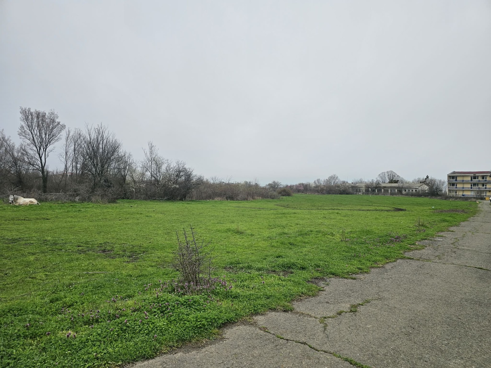 ������� ������ | Imot.bg � ����������� 10