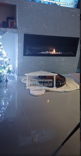 ������� 2-����� | Imot.bg � ����� ������ 9