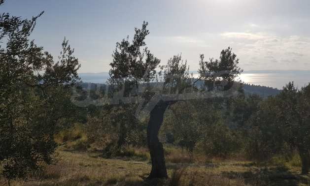 ������� ������ | Imot.bg � ����������� 2