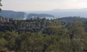 ������� ������ | Imot.bg � ����� ������ 14