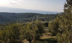 ������� ������ | Imot.bg � ����� ������ 10