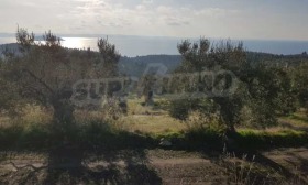 ������� ������ | Imot.bg � ����� ������ 5