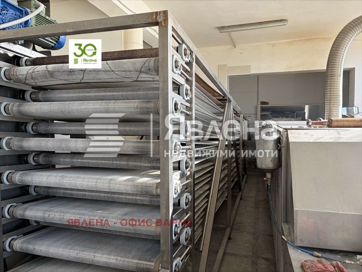 Продава ПРОМ. ПОМЕЩЕНИЕ, гр. Варна, с. Тополи, снимка 7 - Производствени сгради - 53820846