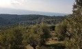 Продава ПАРЦЕЛ, Извън страната, област Извън страната, снимка 10