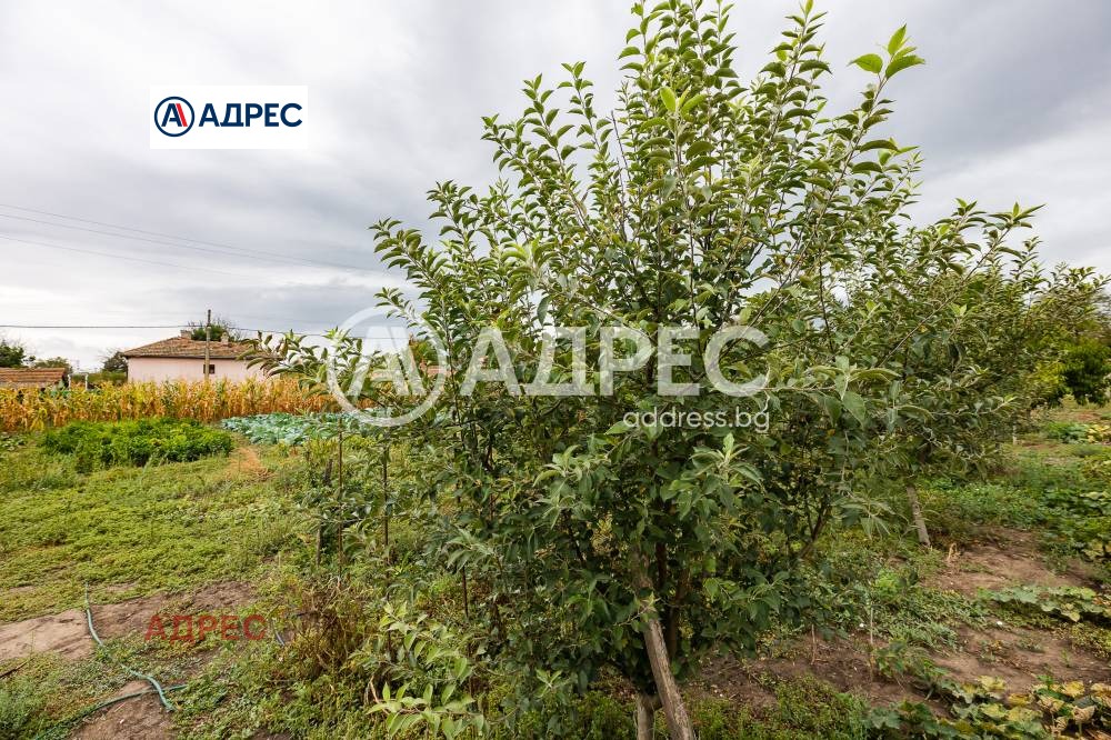 ������� ���� | Imot.bg � ����������� 15