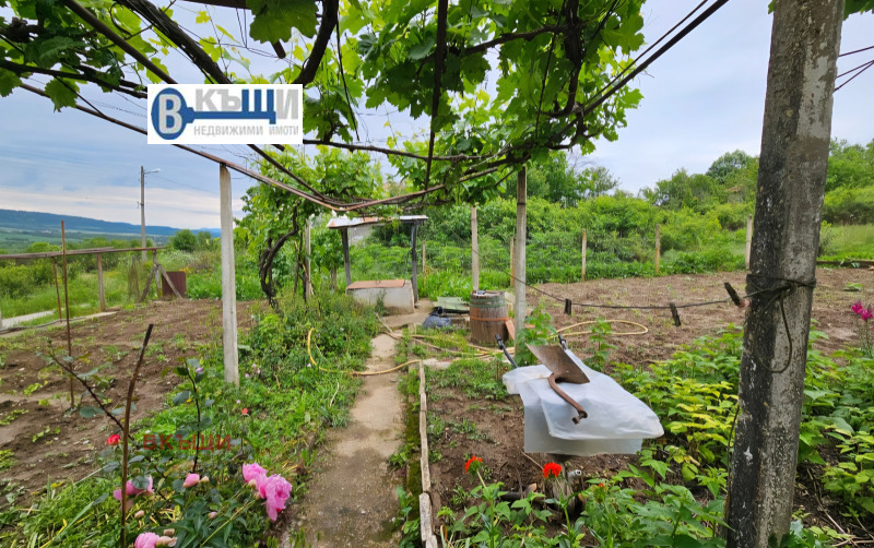 Na sprzedaż  Dom region Wielkie Tyrnowo , Pczeliszcze , 150 mkw | 83182626 - obraz [4]