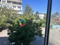 Продава 2-СТАЕН, гр. Варна, Изгрев, снимка 6