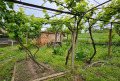 Продава КЪЩА, област Велико Търново, с. Пчелище • 94000 € • 25357816 — Holmes.bg