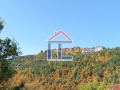 Продава ЗЕМЕДЕЛСКА ЗЕМЯ, с. Сини връх, област Пловдив, снимка 1 - Земеделска земя - 45512952