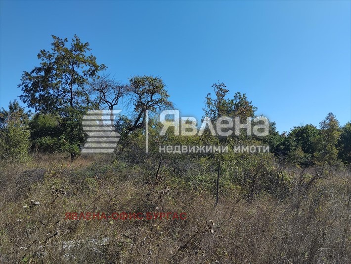 ������� ������ | Imot.bg � ����������� 3