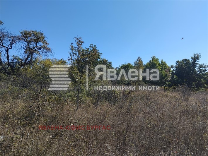 ������� ������ | Imot.bg � ����������� 4