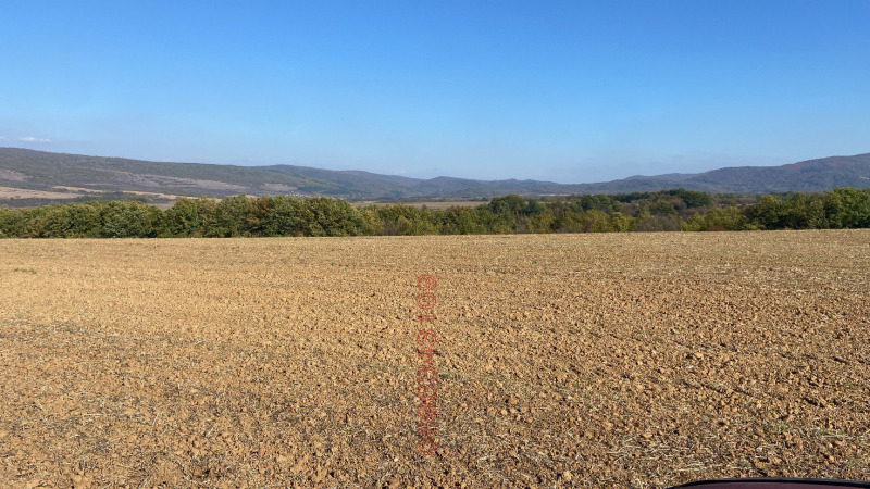 Продава ЗЕМЕДЕЛСКА ЗЕМЯ, гр. Дългопол, област Варна, снимка 4 - Земеделска земя - 52782284