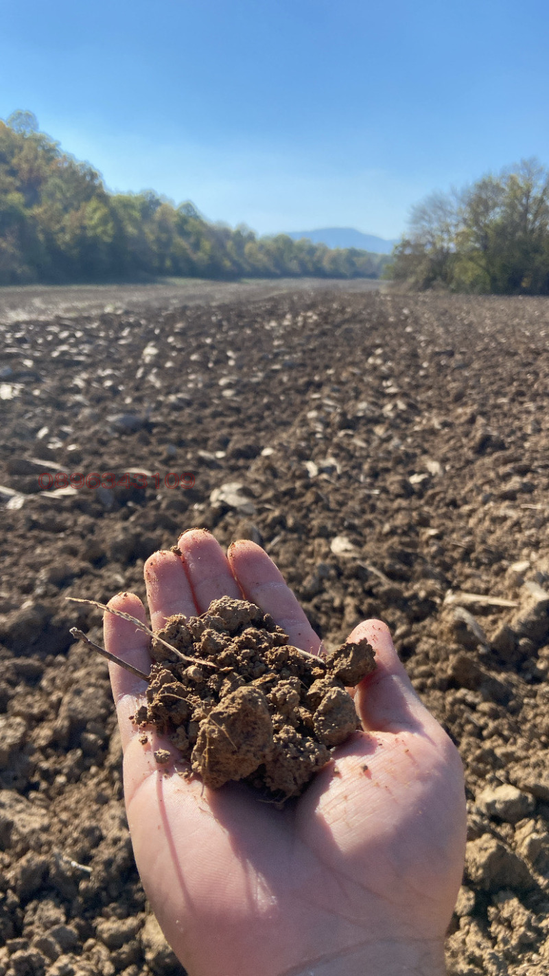 Продава ЗЕМЕДЕЛСКА ЗЕМЯ, гр. Дългопол, област Варна, снимка 2 - Земеделска земя - 52782284