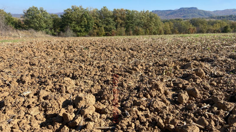 Продава ЗЕМЕДЕЛСКА ЗЕМЯ, гр. Дългопол, област Варна, снимка 3 - Земеделска земя - 52782284