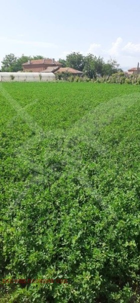 Продава ПАРЦЕЛ, с. Шишманци, област Пловдив