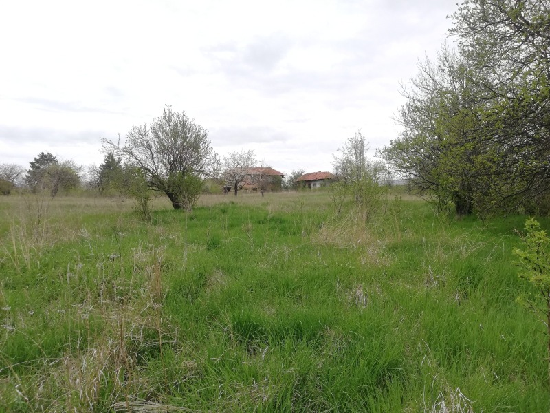 En venta  Trama región Pernik , Kosharevo , 6600 metros cuadrados | 77036851 - imagen [2]