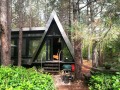 Продава ПАРЦЕЛ, област Перник, с. Кошарево • 165000 лв. • 90229700 — Holmes.bg