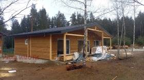 ������ ������� ����