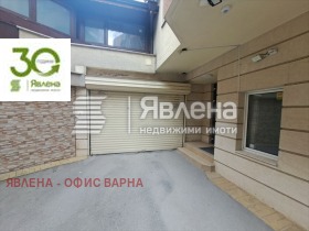 ����� ������� �����,���� �����, ������