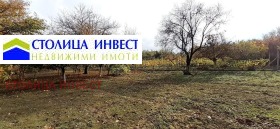 Плот в.з. Левента, Русе 4