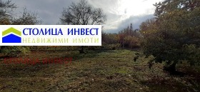 Плот в.з. Левента, Русе 5