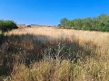 Продава ПАРЦЕЛ, с. Чернево, област Варна, снимка 2