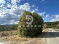 Продава ПАРЦЕЛ, с. Малка Верея, област Стара Загора, снимка 2