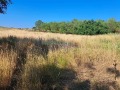 Продава ПАРЦЕЛ, област Варна, с. Чернево • 43110 € • 83087742 — Holmes.bg