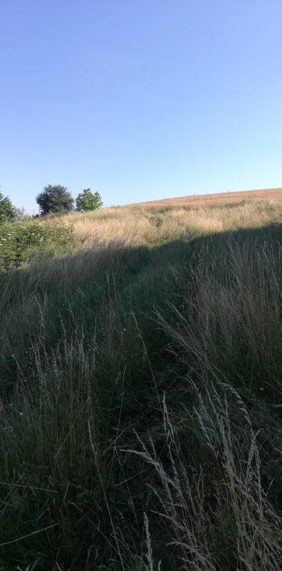 ������� ������ | Imot.bg � ����������� 2