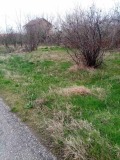 Продава ПАРЦЕЛ, област Пазарджик, с. Цар Асен • 9200 € • 34624730 — Holmes.bg