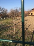 Продава КЪЩА, област Плевен, с. Дисевица • 105000 € • 12438482 — Holmes.bg