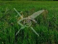 Продава ПАРЦЕЛ, област Пловдив, с. Черничево • 16000 € • 13033228 — Holmes.bg