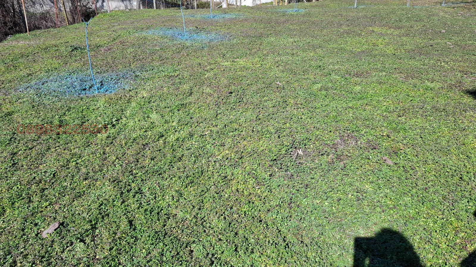 ������� ���� | Imot.bg � ����������� 17