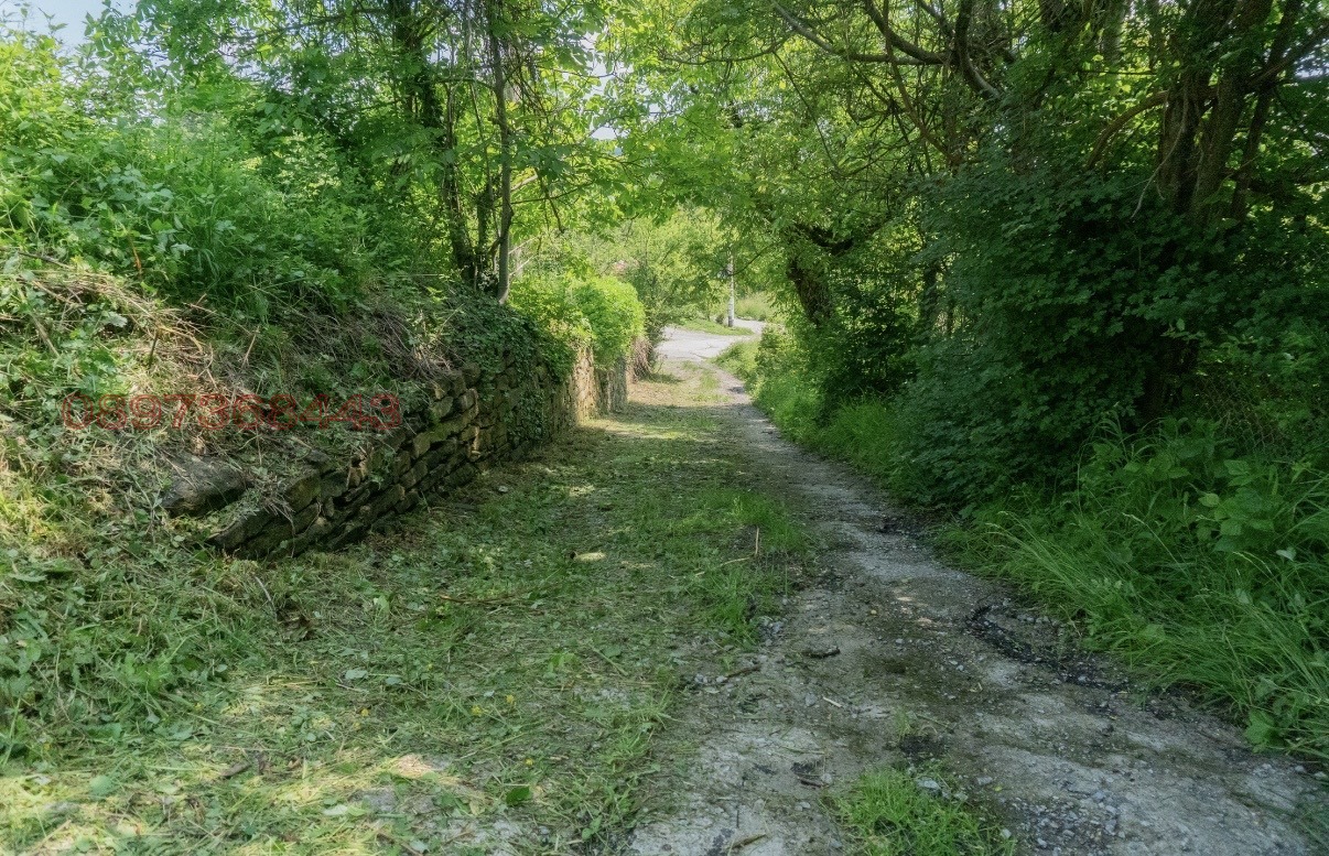 ������� ������ | Imot.bg � ����������� 7